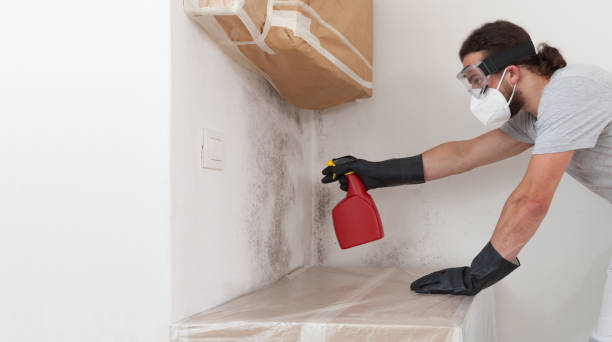 Professional Mold Removal technician working in Evanston, IL