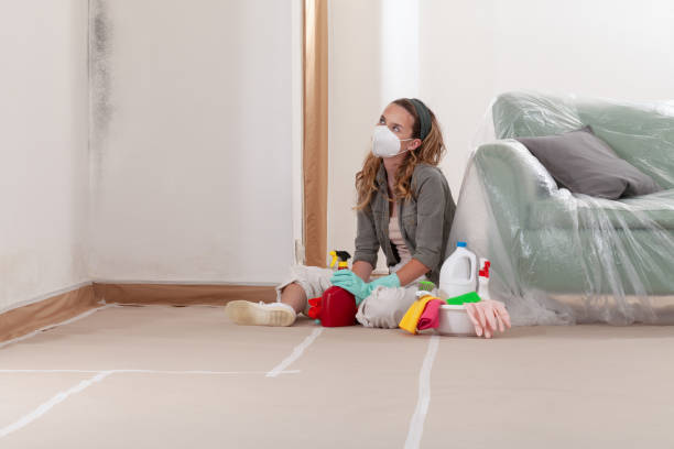 Reliable Mold Removal contractor in Evanston, IL by WQB Mold Removal